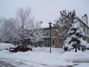 neighborhood snowstorm